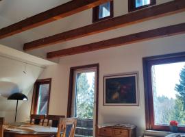 Hotel Carlsruh, Hotel in Braunlage