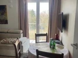 AL-DOM Apartament Porta Mare w spokojnej okolicy
