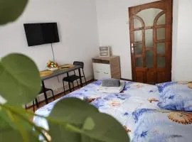 Studio STEFAN Campulung Muscel