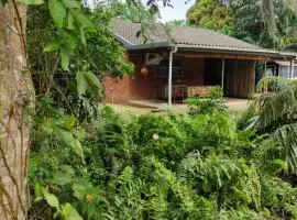 Kingfisher House - St Lucia