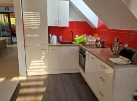 Duże mieszkanie w Kostkowie