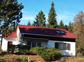 Ferienhaus im Feriendorf Reichenbach B20