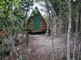 Ouro da Terra 1