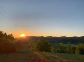 Einzigartiger Panoramablick, Bodensee und Messe in der Nähe