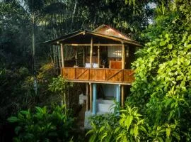 Toucan Lodge