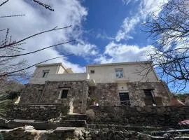 Petra Homes Temenia
