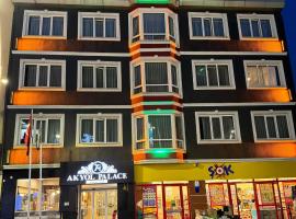 Akyol Palace, habitación en casa particular en Bolu