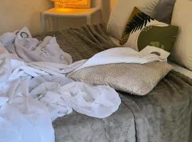 Le Rodrigues - plages - parking - clim - wifi