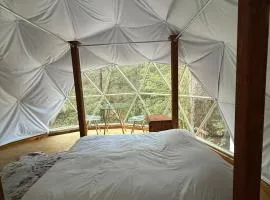 MANDALA CAMP