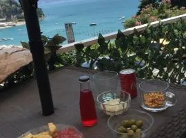 Orizzonte 5 Terre - Portovenere con vista mare