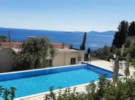 Apartment Zeus with private pool and sea view