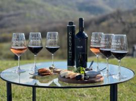 Terre di GIORGIO Agriturismo Villa la Palazzetta, hotel di Castiglione dʼOrcia