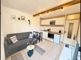 Charmant appartement à Saint-Gervais-les-Bains, idéal pour vos vacances à la montagne