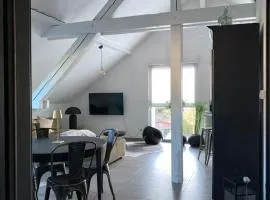 Appartement atypique lumineux