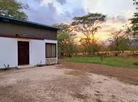 House of Dreams