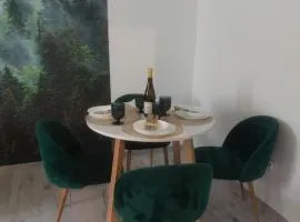 Apartament Górskie Zacisze