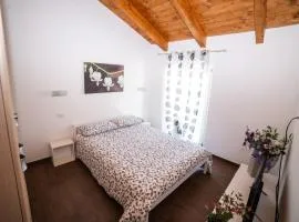 Dicentra Guest House