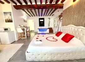 Logement moderne avec jacuzzi