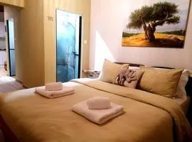 Olive apartment