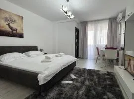 LUXURY studio PLAZA M DRUMUL TABEREI
