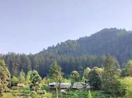 The Hilltop Kasol