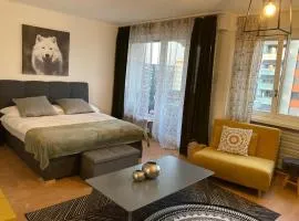 Appartement 1,5 pces