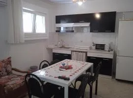 Apartment Irina