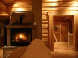 Large and beautiful cabin