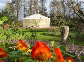 Yurt Klyndobbe