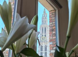 Historical center Antwerp, all on foot