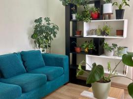 Amplio departamento，特木科的飯店