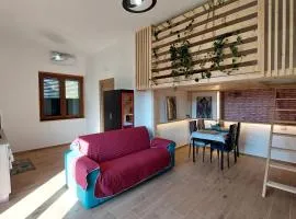 Rosa Room