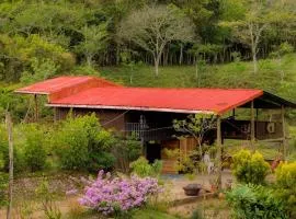 Marcana Occidente