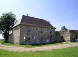 Gîte spacieux avec jardin, terrasse, BBQ et cheminée - FR-1-489-4