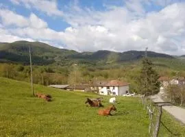 La Lissandra Agriturismo House