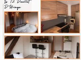 Le T2 Douillet d'Uriage - Résidence Le Louvre - Uriage- Proche Chamrousse - Jusqu'à 3 personnes - Cure thermale - Montagnes et lacs