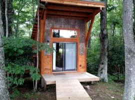 Tree House-Style Luxury Cabin in the Blue Ridge Mountains, North Carolina