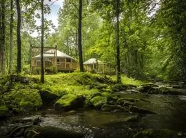 Heavenly Yurt with Modern Interior in Topton, North Carolina