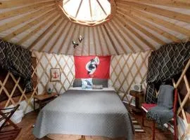 Alaskan Yurt Glamping, Perfect for a Couples Getaway