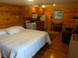 Idyllic Cabin Rental near the Au Sable River in Michigan, hotel v destinaci Five Corners