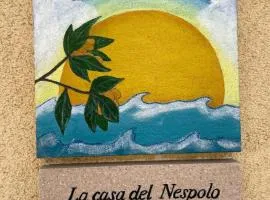 Casa del Nespolo