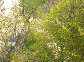 Dunav centar 7