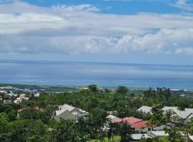 Villa avec vue sur l'océan Indien