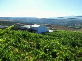 Bodegas Morosanto