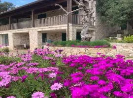 Odegos Affittacamere Maliconca