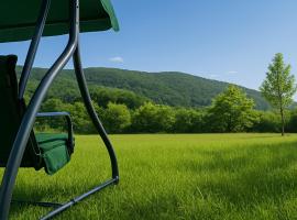 Cozy Villa with a Beautiful View, Terrace and Nature, hotel en Piatra Neamţ