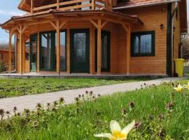 Faház Wellness Apartman Demjén