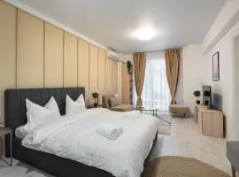 Central Residence Studio P15