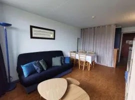 Studio cosy 4 pers. pied de pistes, animaux admis - FR-1-404-5