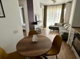 AMB Luxury Residence Pipera